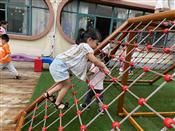 人气：395  上传时间：2020/6/11 16:38:29