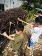人气：461  上传时间：2020/6/16 15:28:01