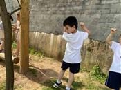 人气：389  上传时间：2020/6/18 16:26:05