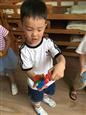 人气：516  上传时间：2020/6/23 16:01:46