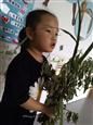 人气：361  上传时间：2020/6/24 12:37:46