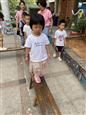 人气：558  上传时间：2020/9/10 16:09:34