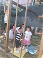 人气：494  上传时间：2020/9/10 12:34:21