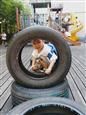 人气：512  上传时间：2020/9/11 15:35:55