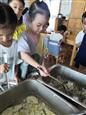 人气：463  上传时间：2020/9/11 16:54:33