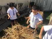 人气：392  上传时间：2020/9/11 9:49:29
