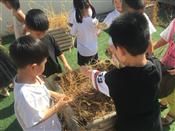 人气：454  上传时间：2020/9/11 9:49:49