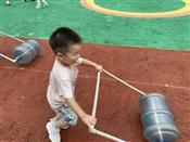 人气：510  上传时间：2020/9/18 15:57:53