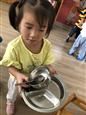 人气：467  上传时间：2020/9/18 16:34:34