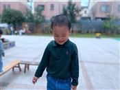 人气：499  上传时间：2020/9/25 10:37:41