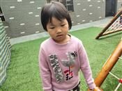 人气：423  上传时间：2020/9/30 16:30:24