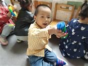 人气：465  上传时间：2020/9/30 16:30:37