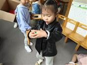人气：475  上传时间：2020/9/30 16:30:51
