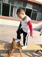 人气：438  上传时间：2020/10/10 14:23:23