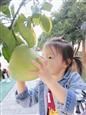 人气：508  上传时间：2020/10/13 16:03:36