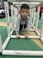 人气：492  上传时间：2020/10/16 16:10:35
