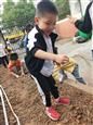 人气：470  上传时间：2020/10/19 12:33:24