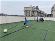 人气：333  上传时间：2020/10/21 13:33:35
