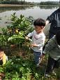 人气：378  上传时间：2020/10/26 14:21:33