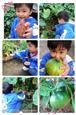 人气：443  上传时间：2020/10/29 14:47:51