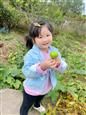 人气：415  上传时间：2020/10/29 14:47:56