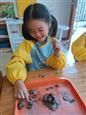 人气：360  上传时间：2020/10/30 16:25:36