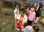 人气：401  上传时间：2020/10/30 7:58:45