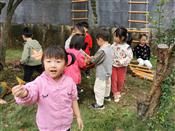 人气：385  上传时间：2020/10/30 7:58:49