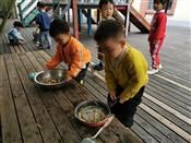 人气：478  上传时间：2020/10/30 8:07:34