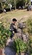 人气：389  上传时间：2020/11/6 16:53:41