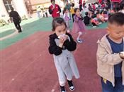 人气：392  上传时间：2020/11/11 12:26:31