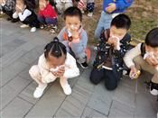 人气：401  上传时间：2020/11/11 12:26:34