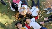 人气：385  上传时间：2020/11/12 15:03:06