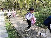人气：451  上传时间：2020/11/12 18:05:55