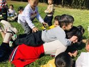 人气：385  上传时间：2020/11/13 14:07:57