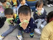 人气：520  上传时间：2020/11/13 16:16:07