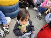 人气：475  上传时间：2020/11/13 16:16:08