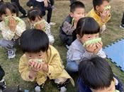 人气：548  上传时间：2020/11/13 16:16:11