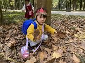 人气：501  上传时间：2020/11/13 16:20:34
