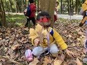 人气：477  上传时间：2020/11/13 16:20:35