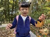 人气：506  上传时间：2020/11/13 16:20:36
