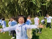 人气：433  上传时间：2020/11/13 17:12:37