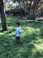 人气：393  上传时间：2020/11/13 19:20:37