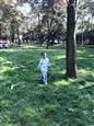 人气：416  上传时间：2020/11/13 19:20:37