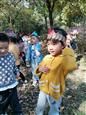 人气：494  上传时间：2020/11/16 16:42:53