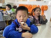 人气：385  上传时间：2020/11/17 16:53:37