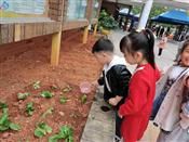 人气：406  上传时间：2020/11/20 15:02:11