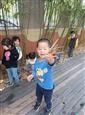 人气：438  上传时间：2020/11/20 15:10:41