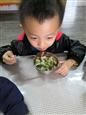 人气：417  上传时间：2020/11/20 16:23:45