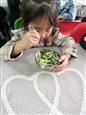 人气：436  上传时间：2020/11/20 16:23:46